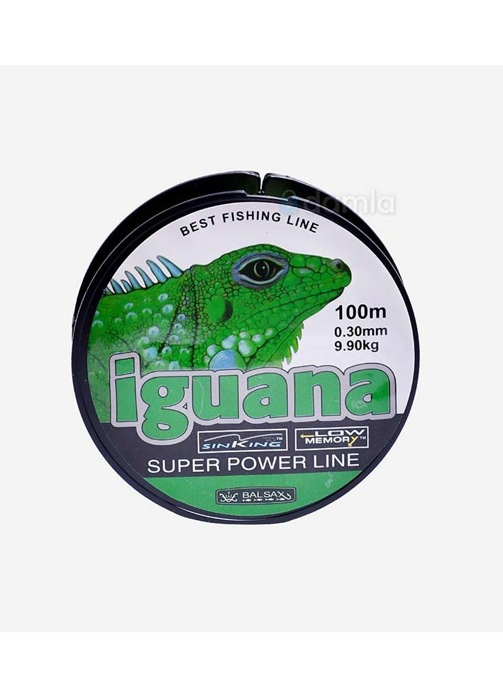 Iguana fishing line 0.30 mm/ 100 m clear